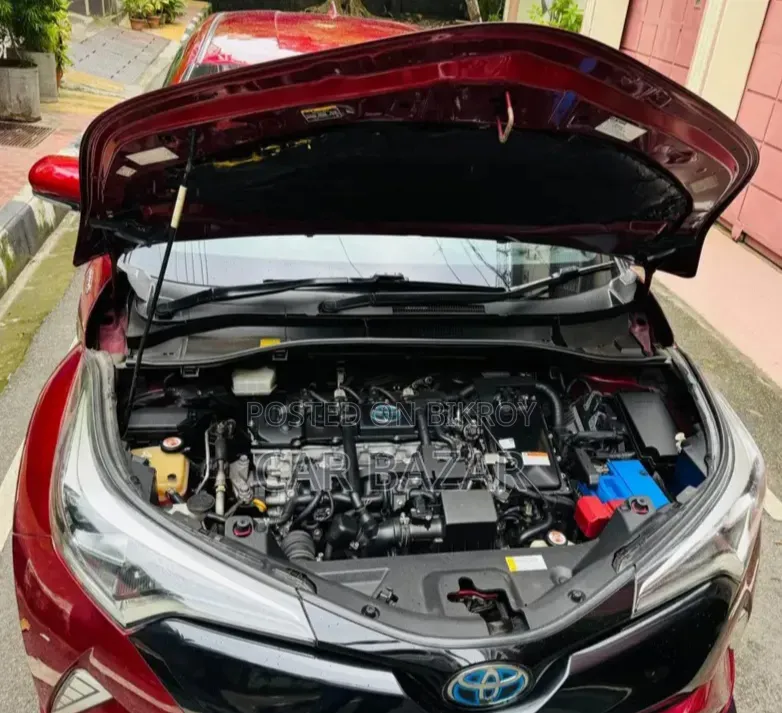 Toyota C-HR 2018 Maroon