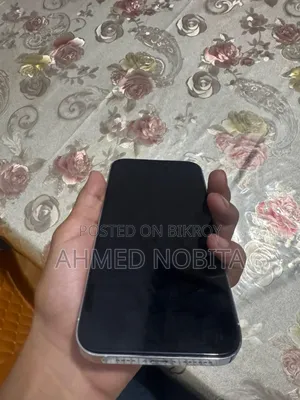 Apple iPhone 14 Pro Max 256 GB Silver