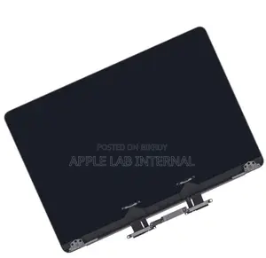 Professional Macbook Pro A1707 Display Replacement at Apple Lab.