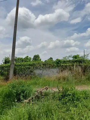Sector-21, Road-315, Land-3 Katha