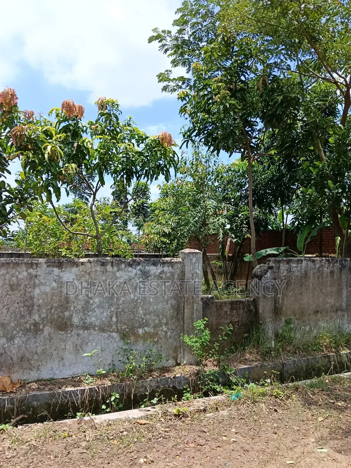 Sector-23, Box Corner 3 Katha
