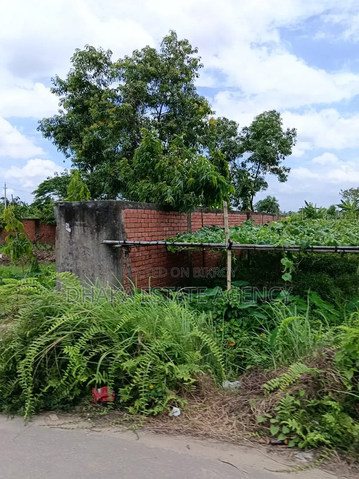 সেক্টর-২৩, দক্ষিণমুখী ৩ কাঠা প্লট বিক্রয় হবে