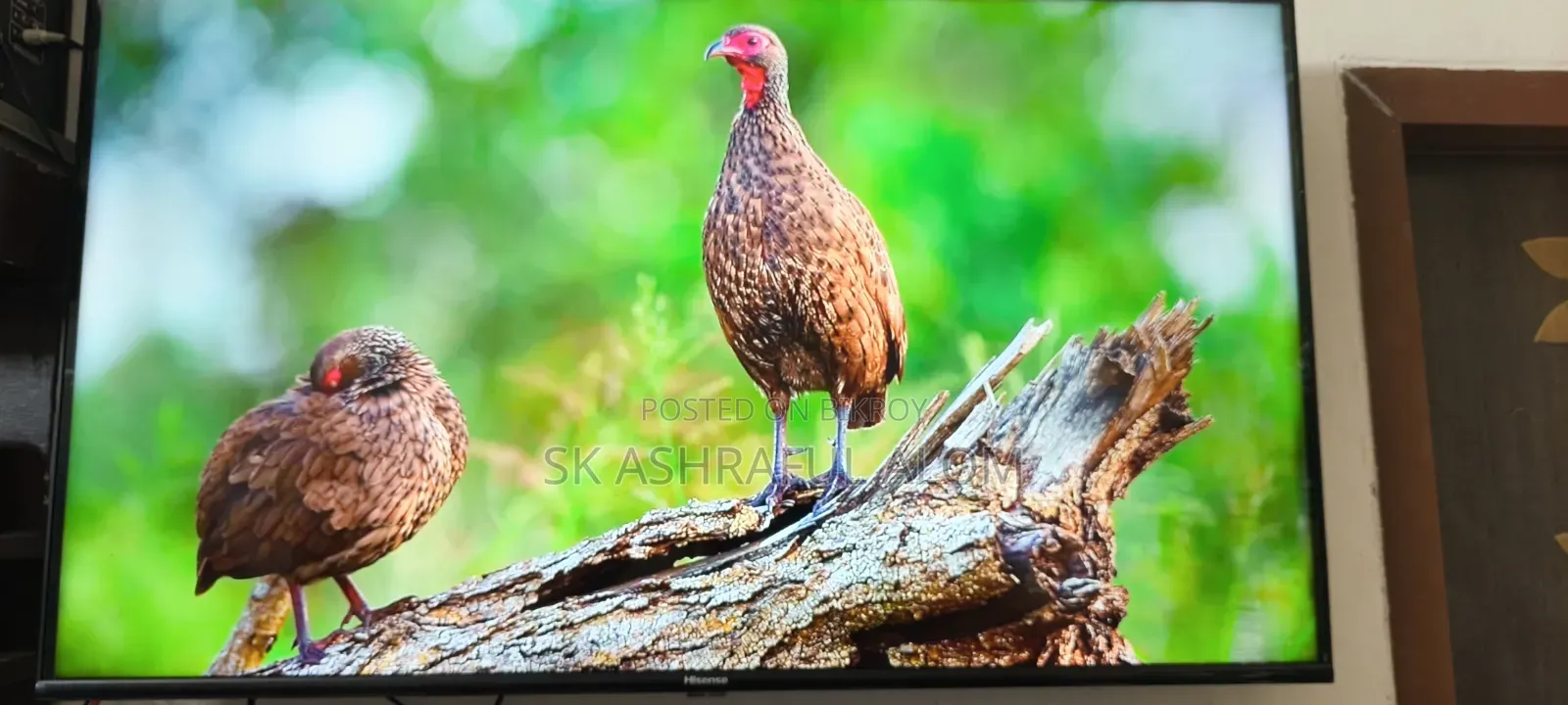 Hisense LED TV