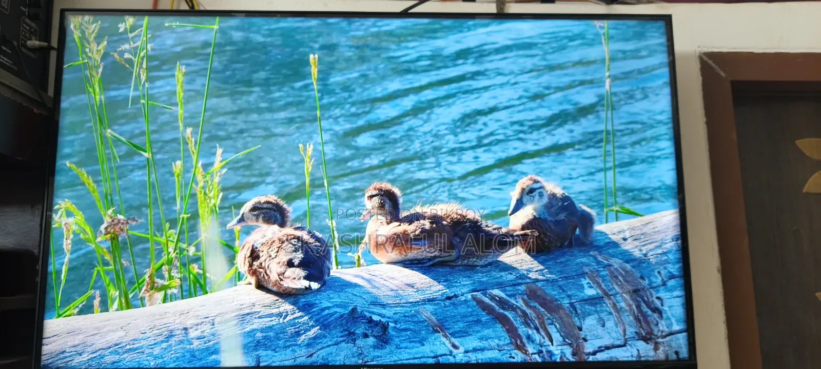 Hisense LED TV