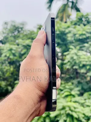 Apple iPhone 12 Pro Max 256 GB Gray