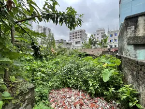 Land for sale (3 decimals)