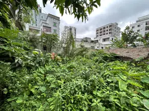 Land for sale (3 decimals)