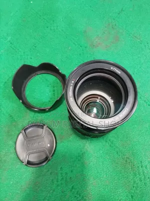 ক্যানন ২৪-১০৫ মিমি (৪এল) ইউএসএম