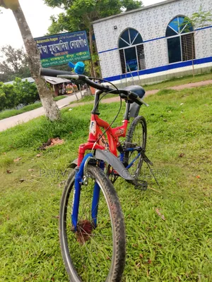 প্রিন্স ২৪ ইঞ্চি ডুয়াল সাসপেনশন – নতুন প্যাডেল ও ব্রেক সেট | ফুল সার্ভিসড