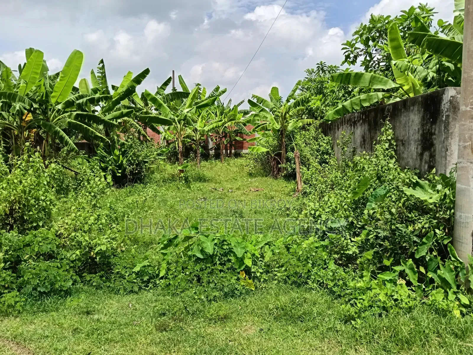 Aftab Nagar Block-M, 5.50 Katha Plot Sale