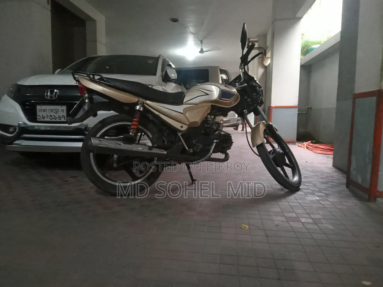 রানার চিতা ১০০ ২০২১ ব্রাউন