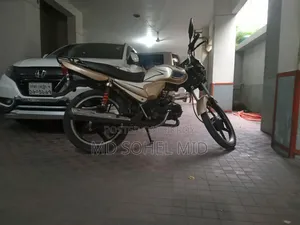 রানার চিতা ১০০ ২০২১ ব্রাউন