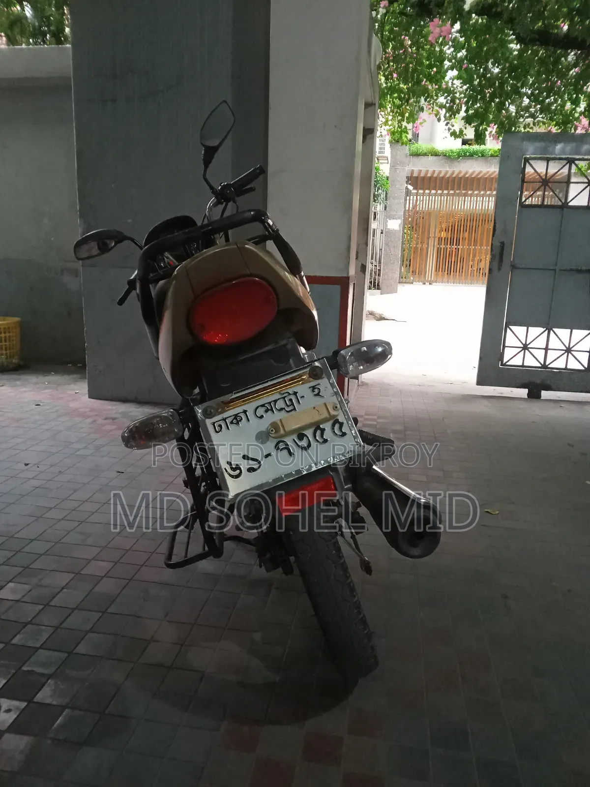 রানার চিতা ১০০ ২০২১ ব্রাউন