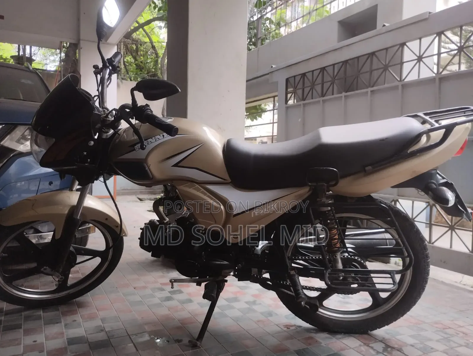 রানার চিতা ১০০ ২০২১ ব্রাউন