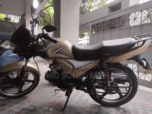 রানার চিতা ১০০ ২০২১ ব্রাউন