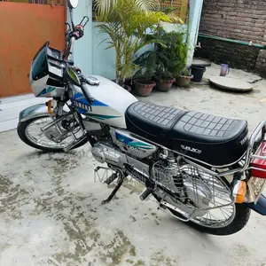 Yamaha FZ 2001 Silver