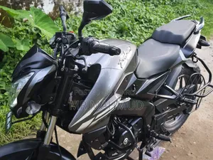 Bajaj Pulsar NS125 2025 Gray