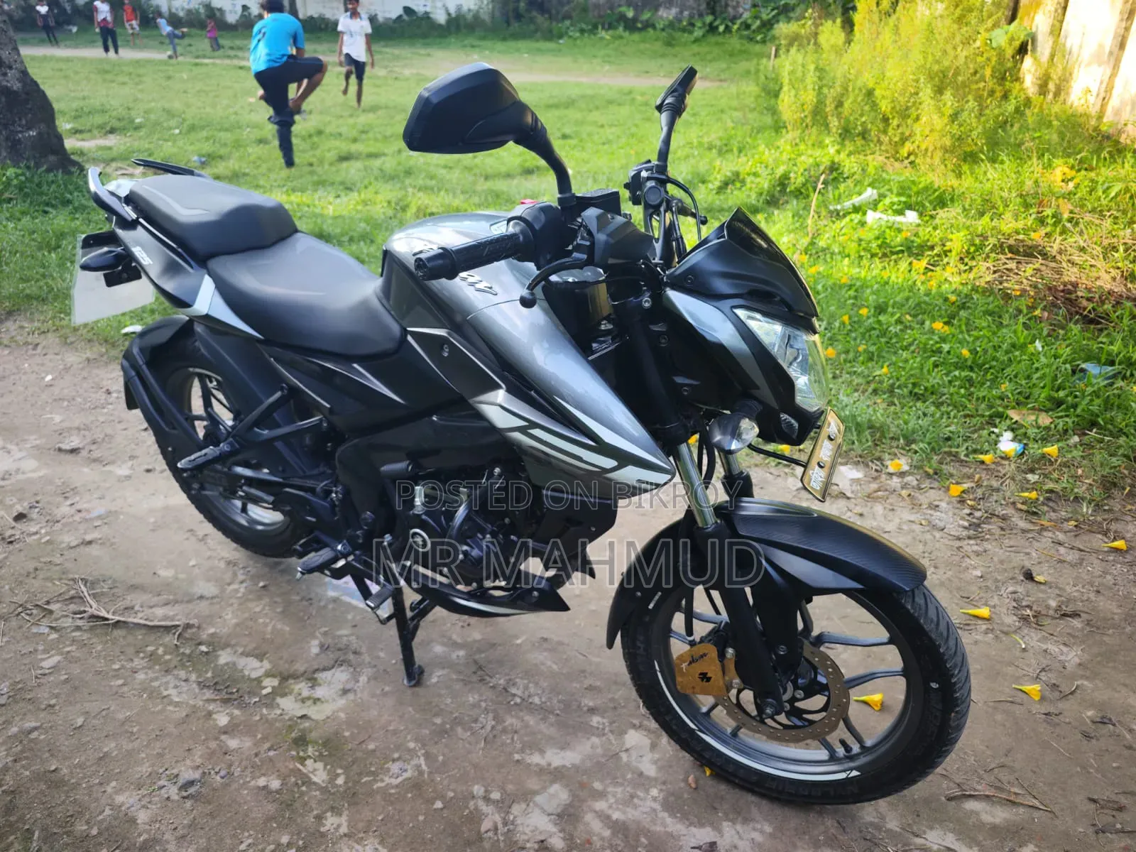 Bajaj Pulsar NS125 2025 Gray