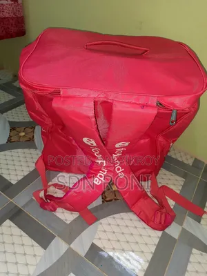 Foodpanda Bag
