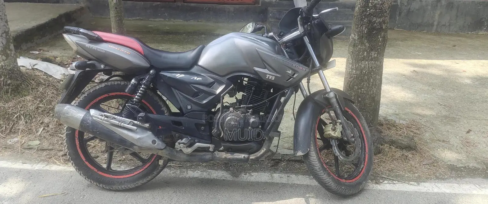TVS Apache RTR 160 2V 2011 Gray