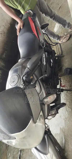 TVS Apache RTR 160 2V 2011 Gray