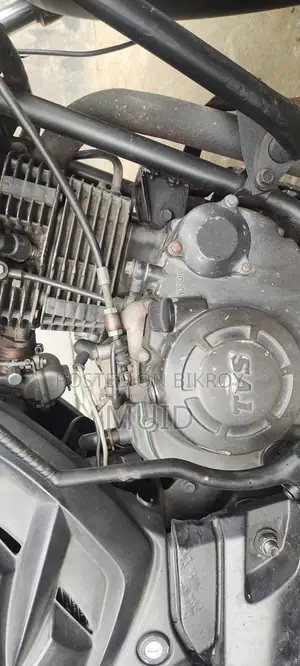 TVS Apache RTR 160 2V 2011 Gray