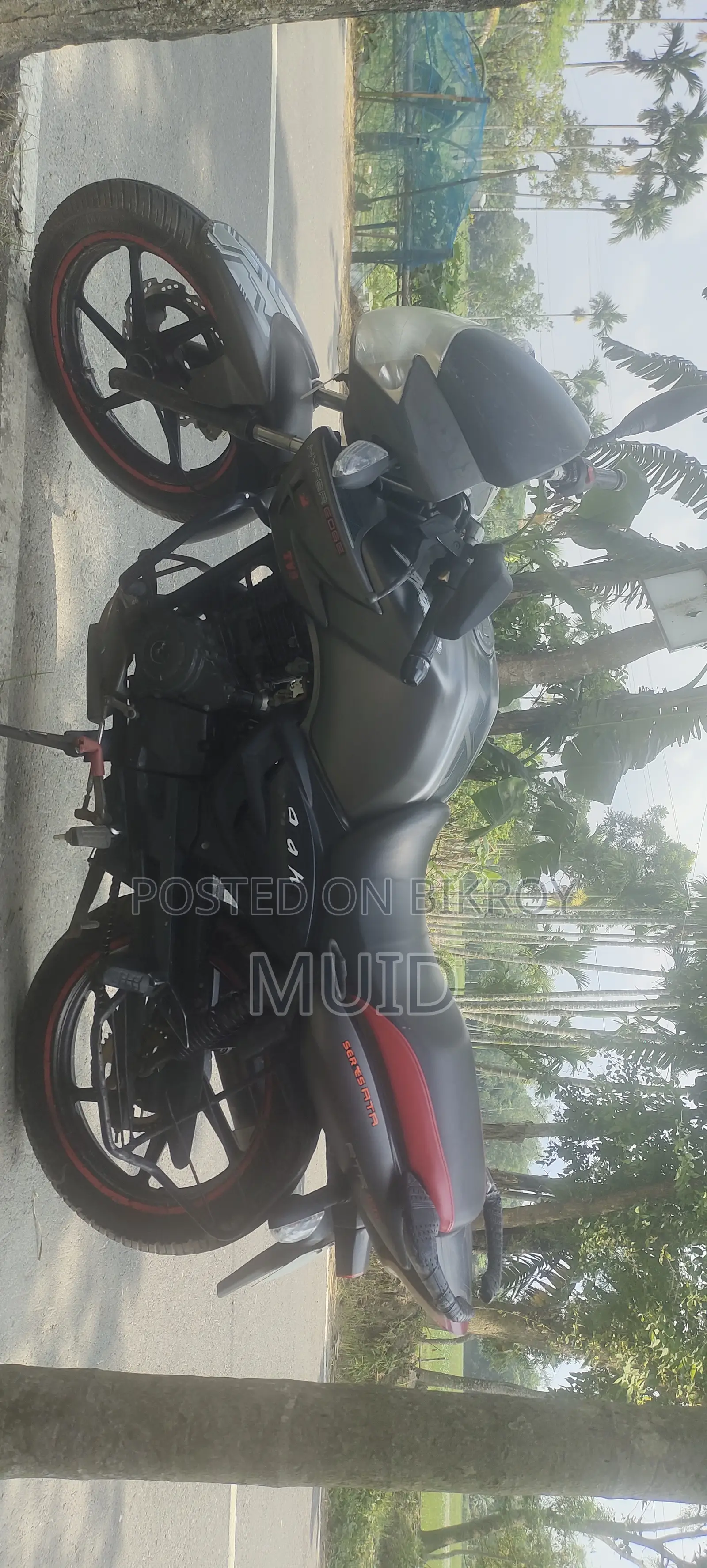TVS Apache RTR 160 2V 2011 Gray