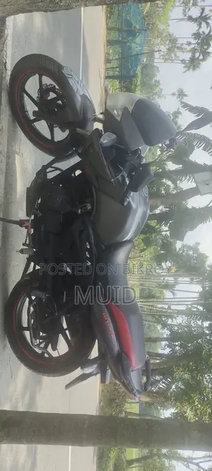 TVS Apache RTR 160 2V 2011 Gray