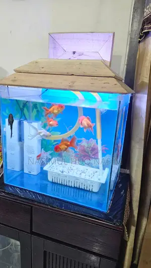 অ্যাকোয়ারিয়াম ১৮x১২x১৮ ইঞ্চি