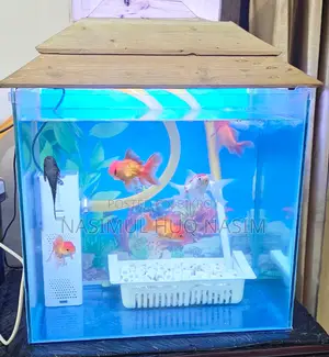 অ্যাকোয়ারিয়াম ১৮x১২x১৮ ইঞ্চি