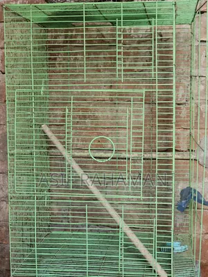 Bird Cage (Love Bird)