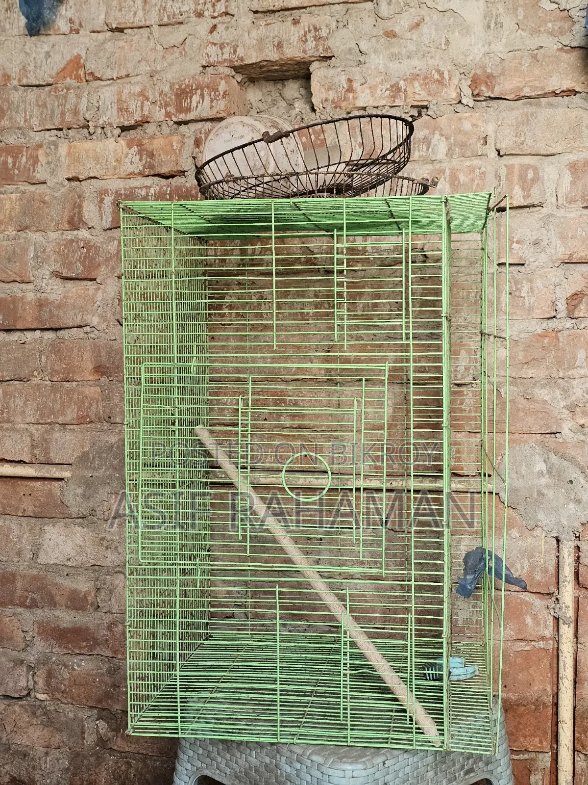 Bird Cage (Love Bird)