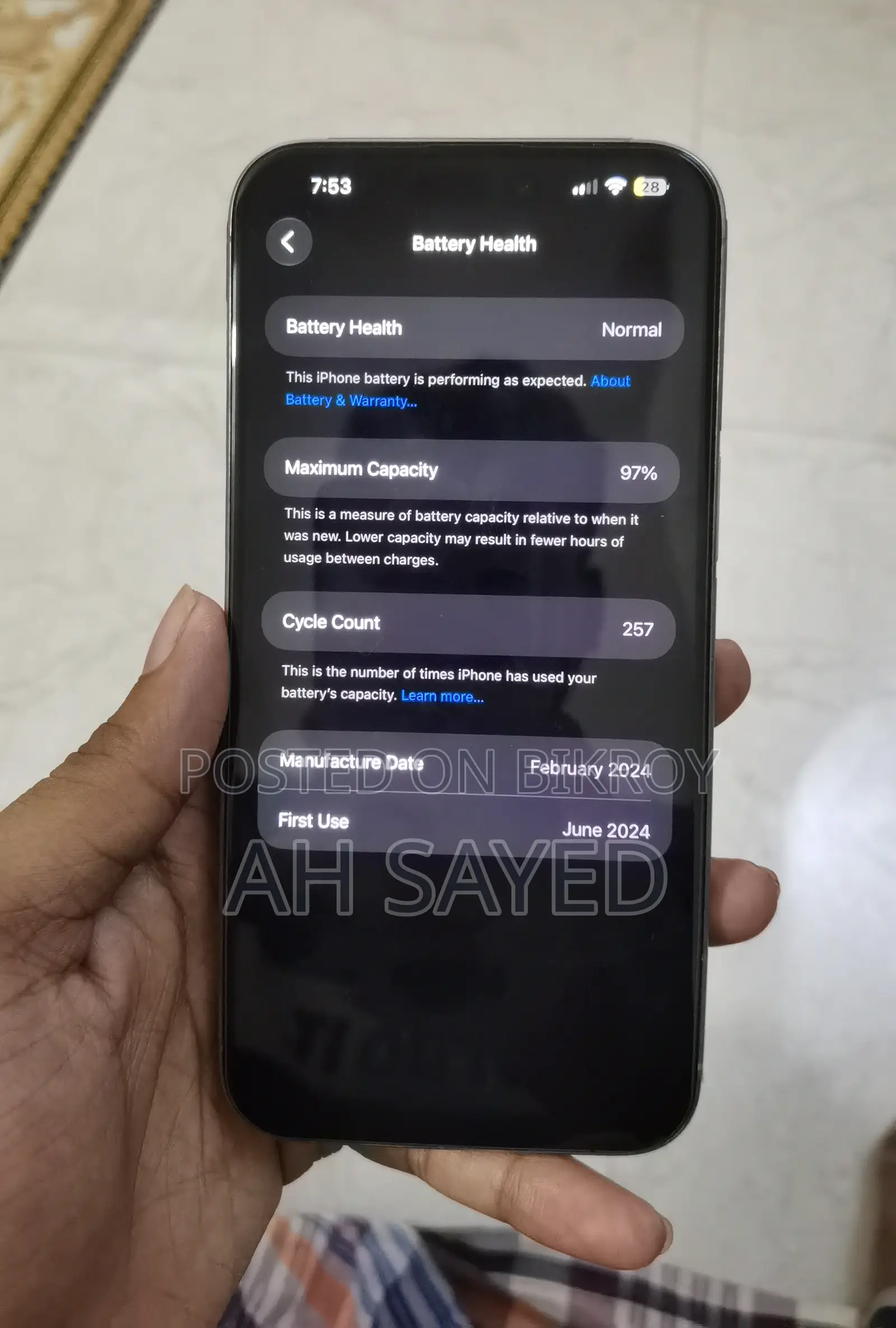 Apple iPhone 15 Pro Max 256 GB Silver