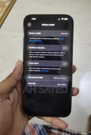 Apple iPhone 15 Pro Max 256 GB Silver