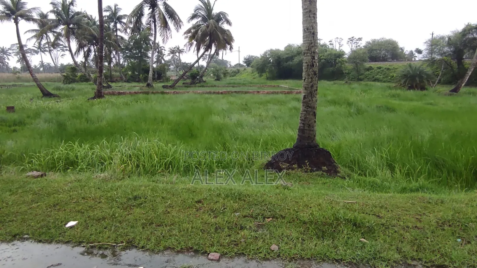 4 Katha Plot