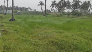 4 Katha Plot