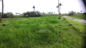 4 Katha Plot