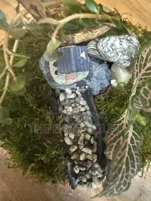 Terrarium Bowl Type