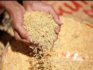 ধান বিক্রি হবে