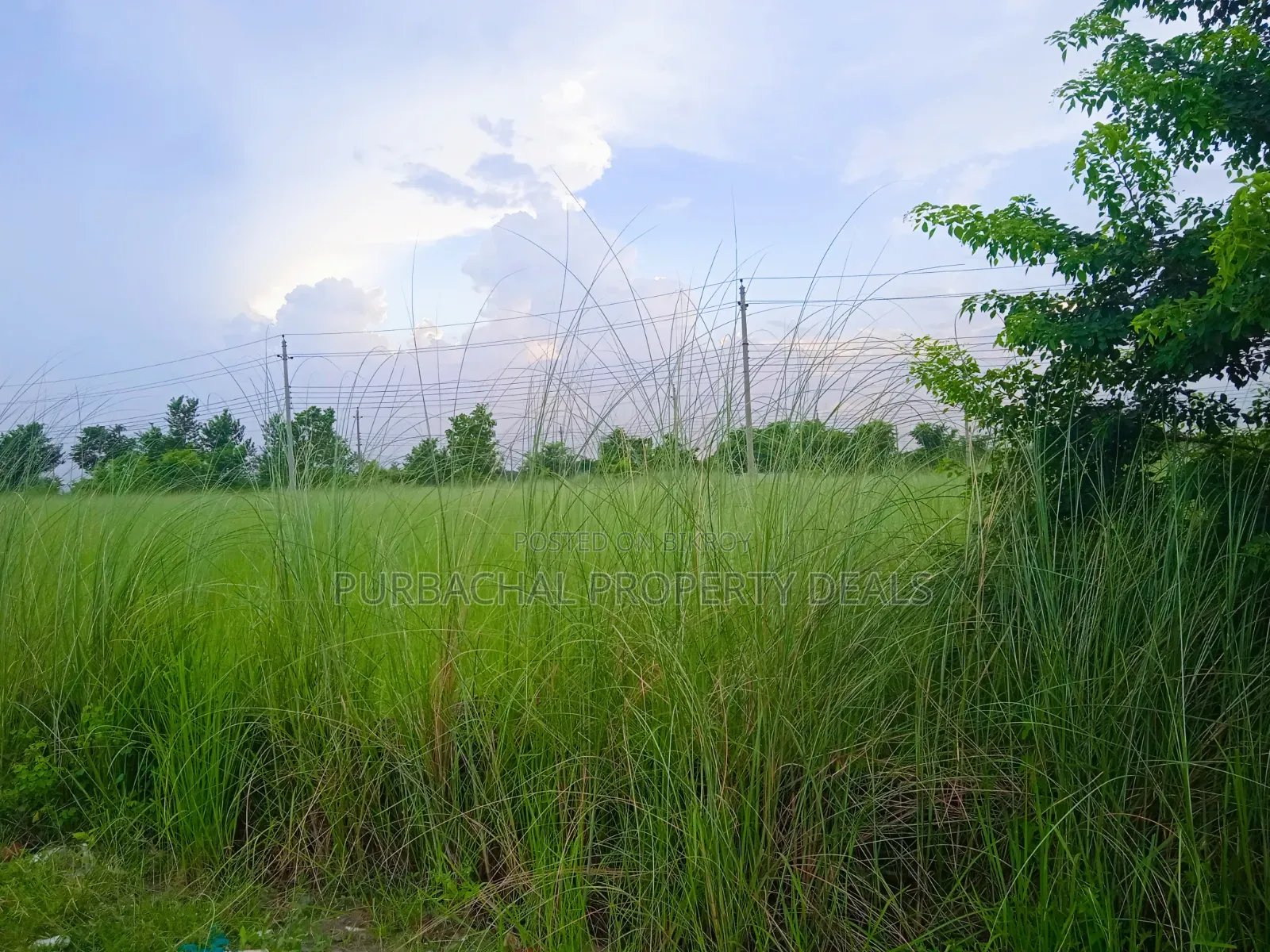 5 Katha Prime Plot for Sale in Bashundhara I-Ext!