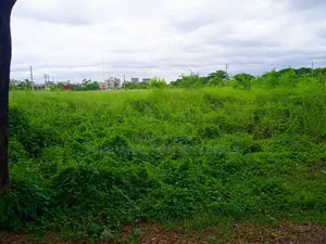 5 Katha Premium Plot for Sale in Bashundhara N Block