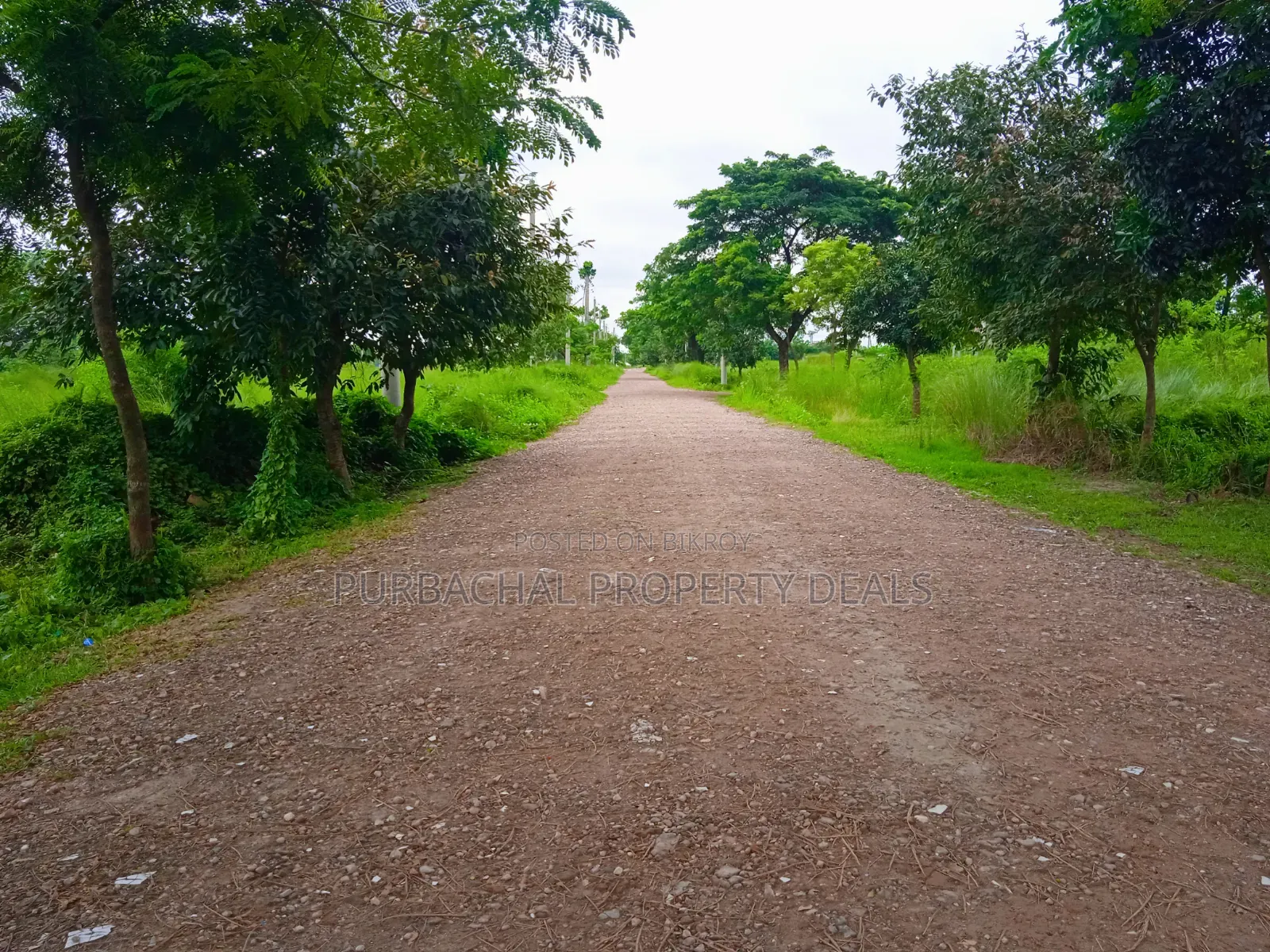 5 Katha Premium Plot for Sale in Bashundhara N Block