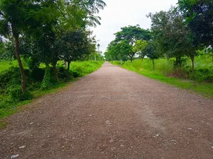 5 Katha Premium Plot for Sale in Bashundhara N Block