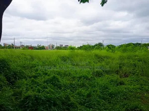 5 Katha Premium Plot for Sale in Bashundhara N Block
