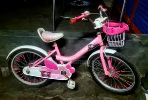 Phillips 20 Size Baby Cycle