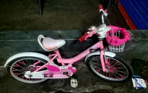 Phillips 20 Size Baby Cycle
