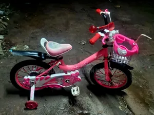 ফিলিপস ১৬ সাইজ বেবি সাইকেল