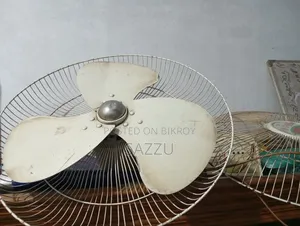 Pakistani Wall Fan