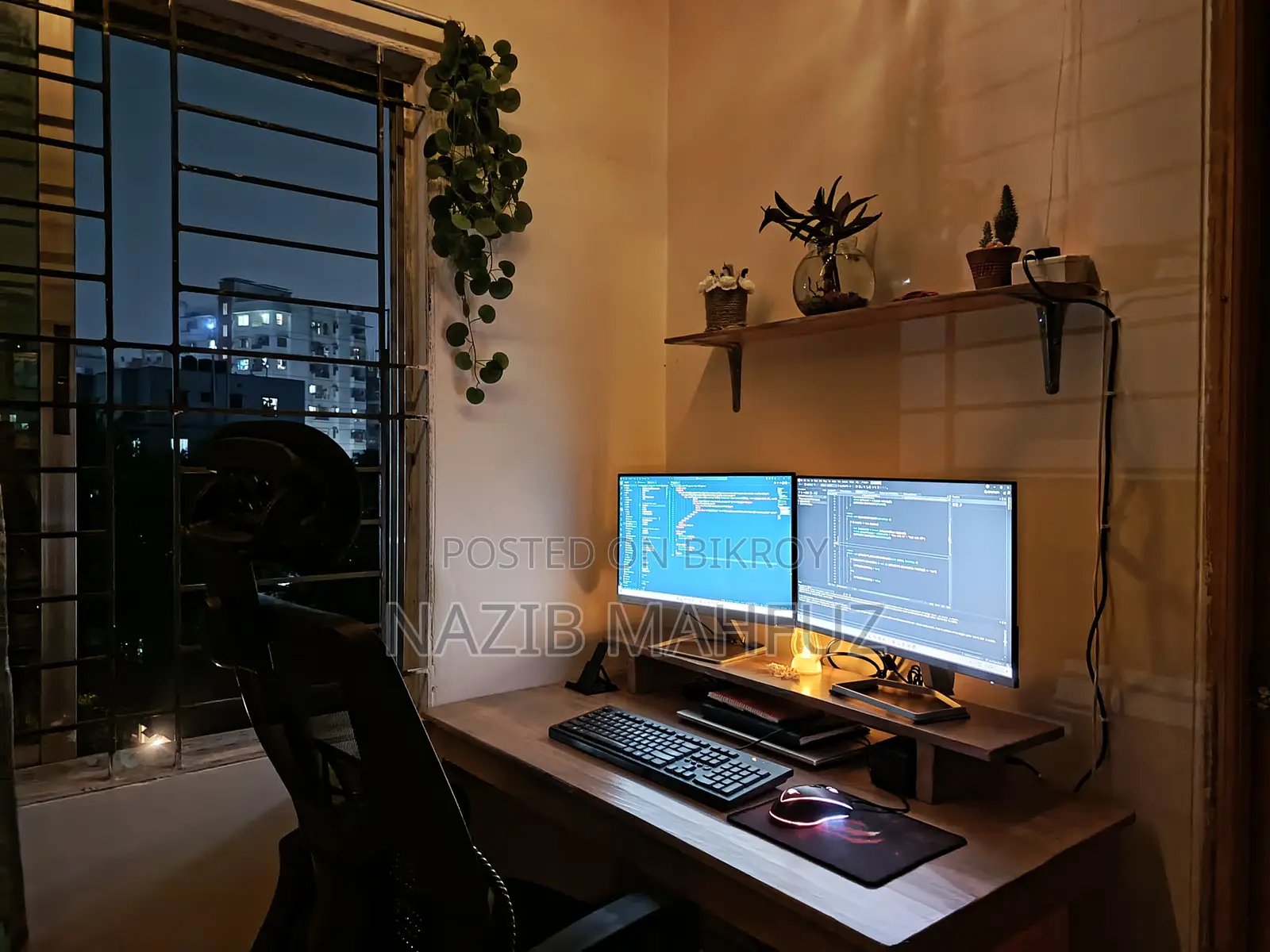 HP Monitor