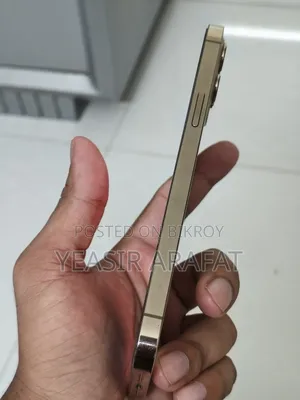 অ্যাপল আইফোন ১২ প্রো ম্যাক্স ১২৮ জিবি গোল্ড